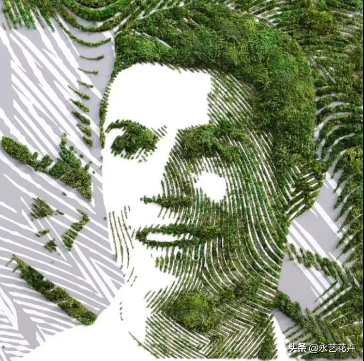 永生花苔藓植物墙,永生苔藓的价格