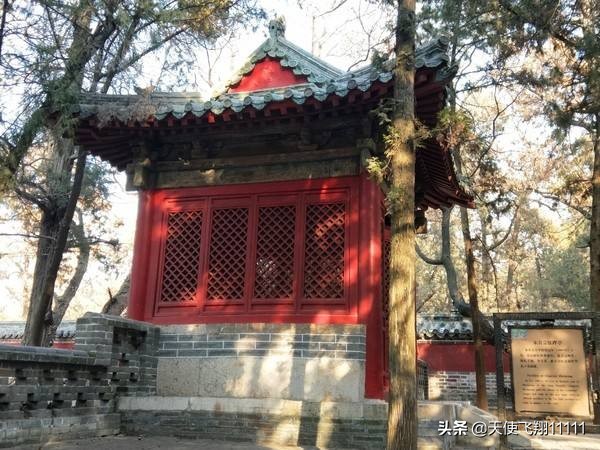 曲阜三孔旅游攻略孔庙孔府孔林,曲阜孔府孔庙孔林风景区