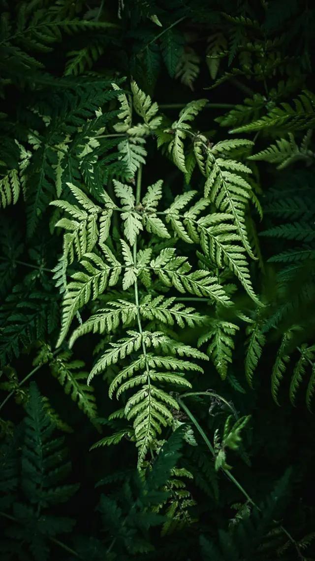 白岩松经典语录昨天比今天好 (白岩松经典语录最难的事终会过去)