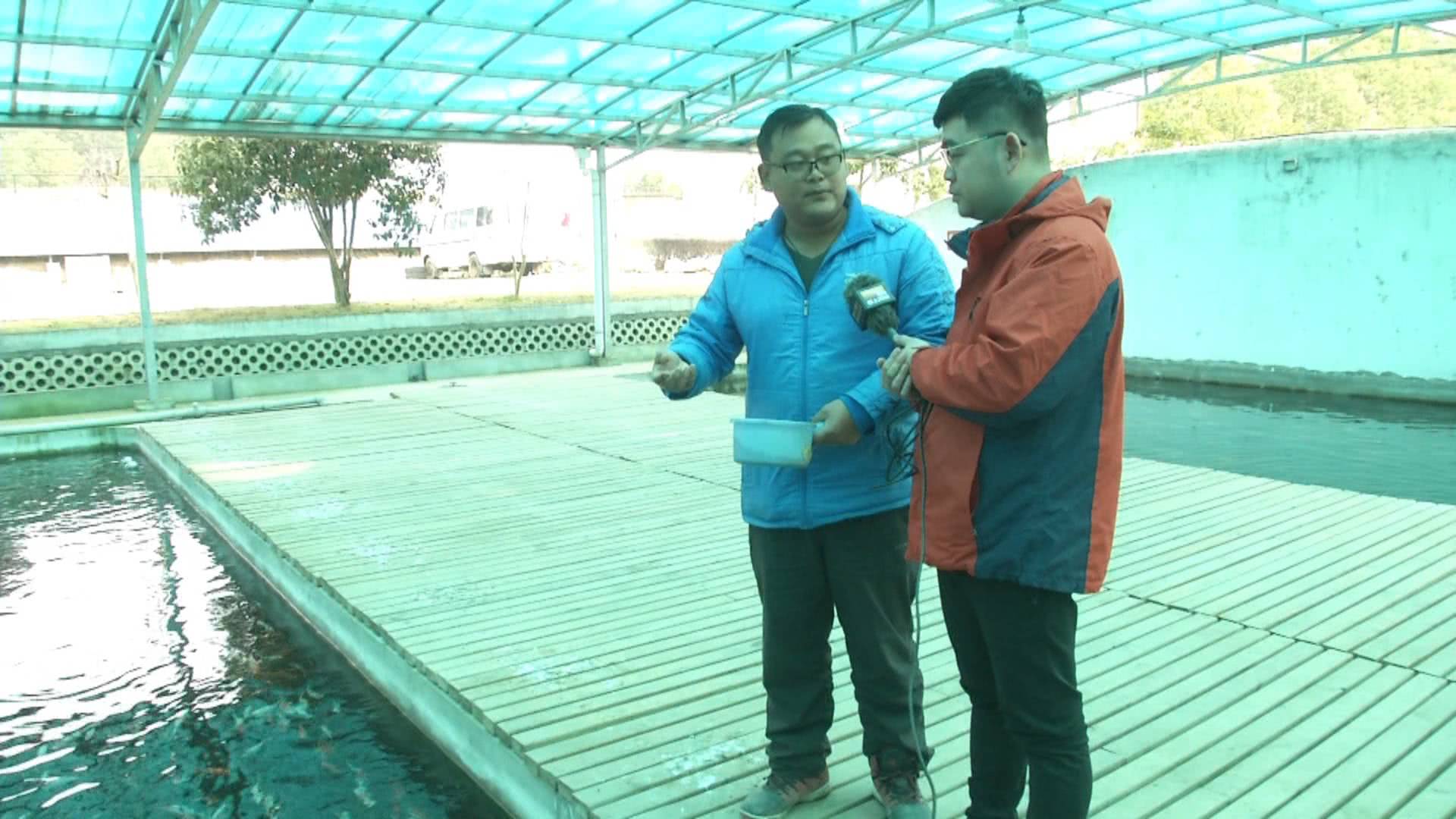 一条小鱼大概能卖多少钱,一条小鱼大约多少钱