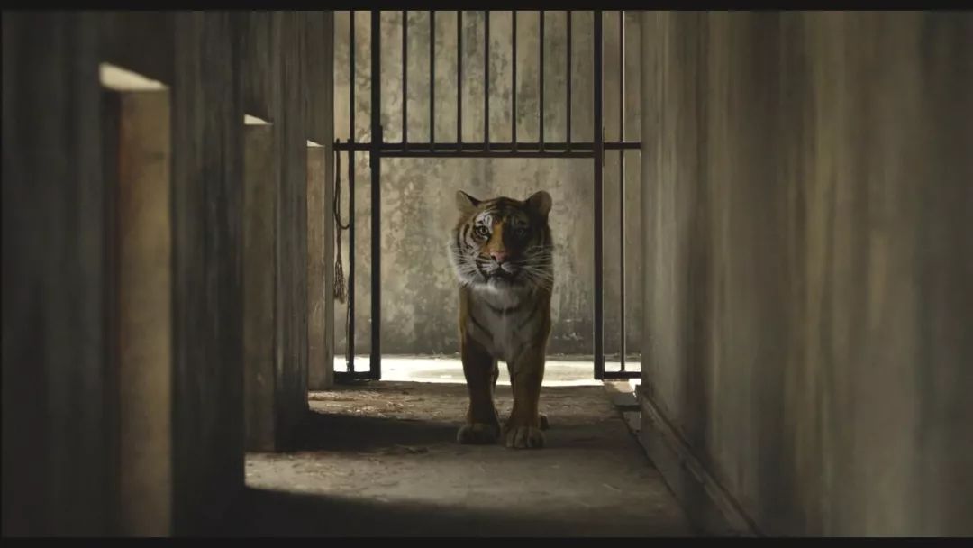 李安电影特色,李安谈电影完整版