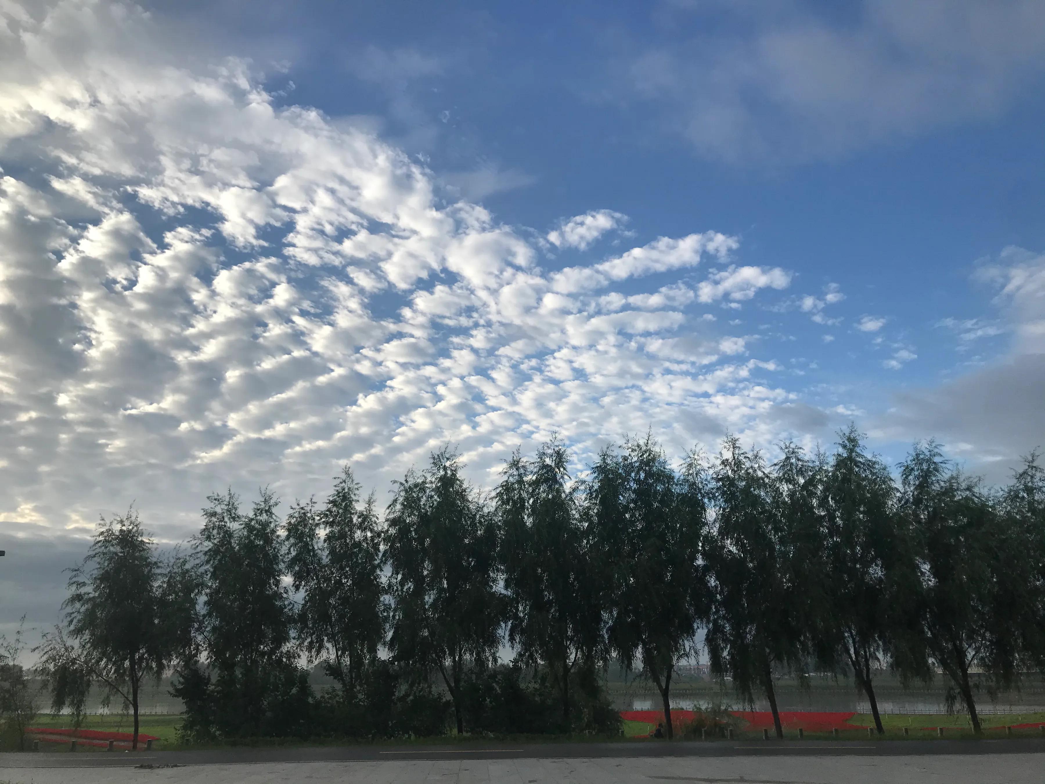 辉南街早市开了吗,辉南朝阳镇早市开门营业时间