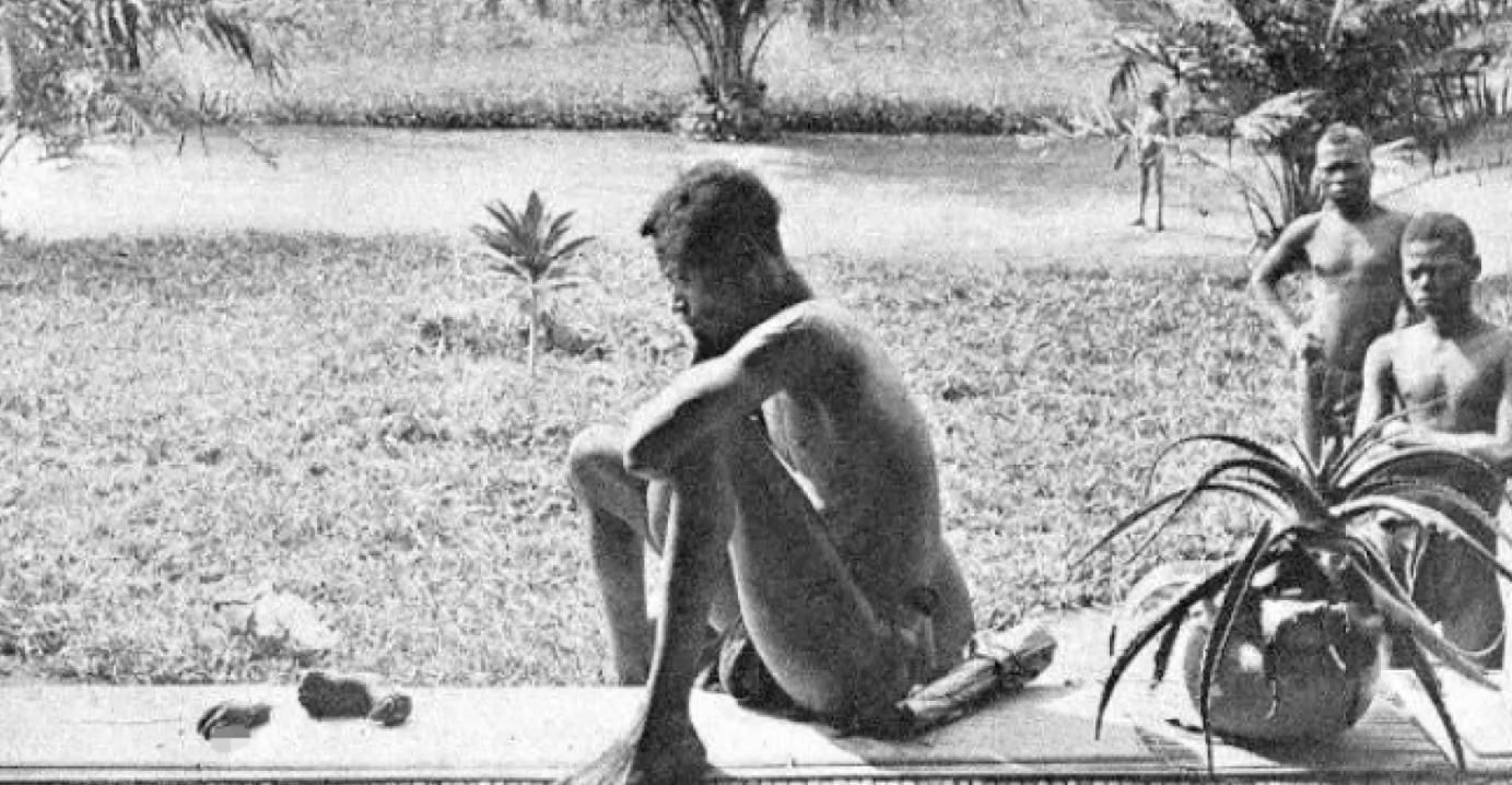 乌合麒麟发布新作血棉行动,乌合麒麟怒揭血棉真相