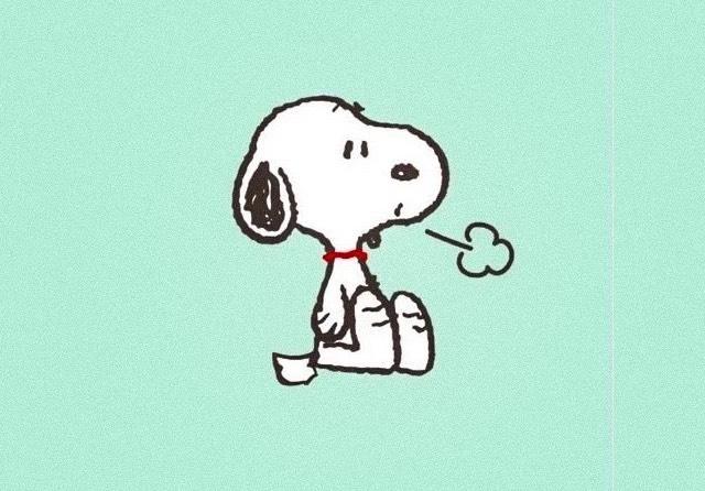 衣服吊牌没剪不给退,衣服吊牌没有了卖家不退货怎么办