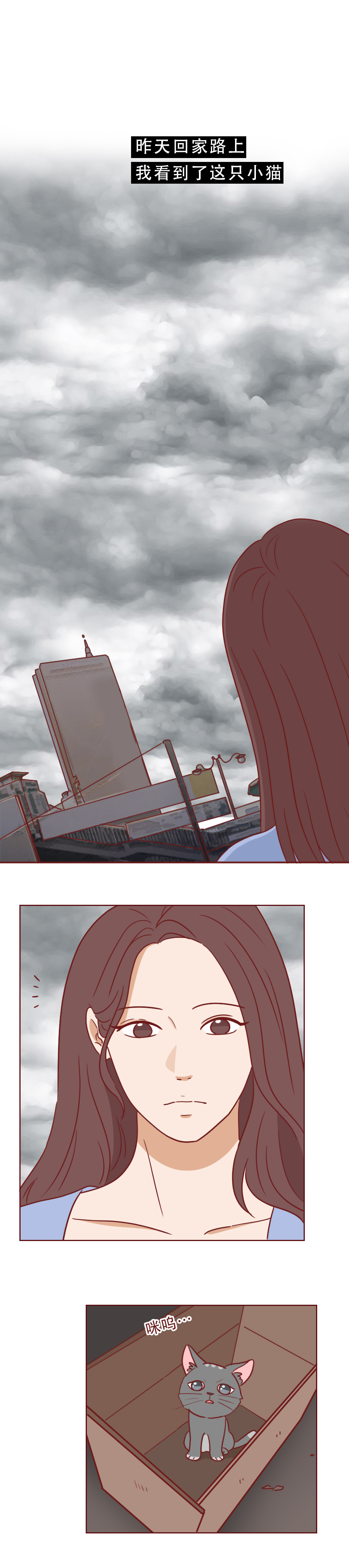 捡了一只猫好像抑郁了怎么办,一只抑郁症猫咪被救赎的故事