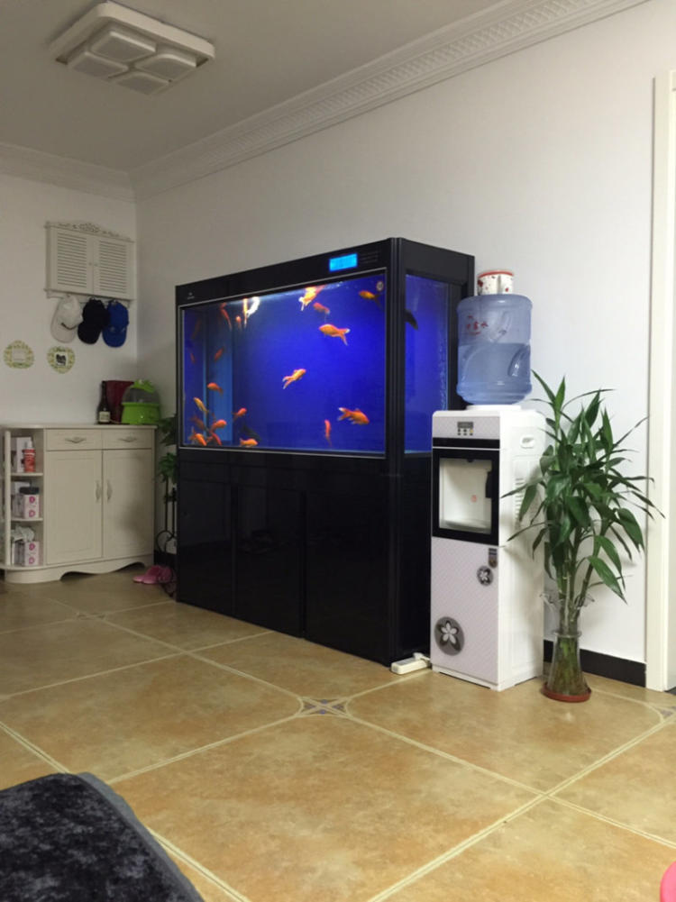 养金鱼鱼缸最佳过滤,普通鱼缸怎么养金鱼最简单方法