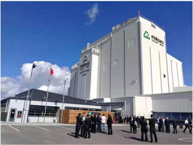 a2牛奶公司战略,a2牛奶新消息