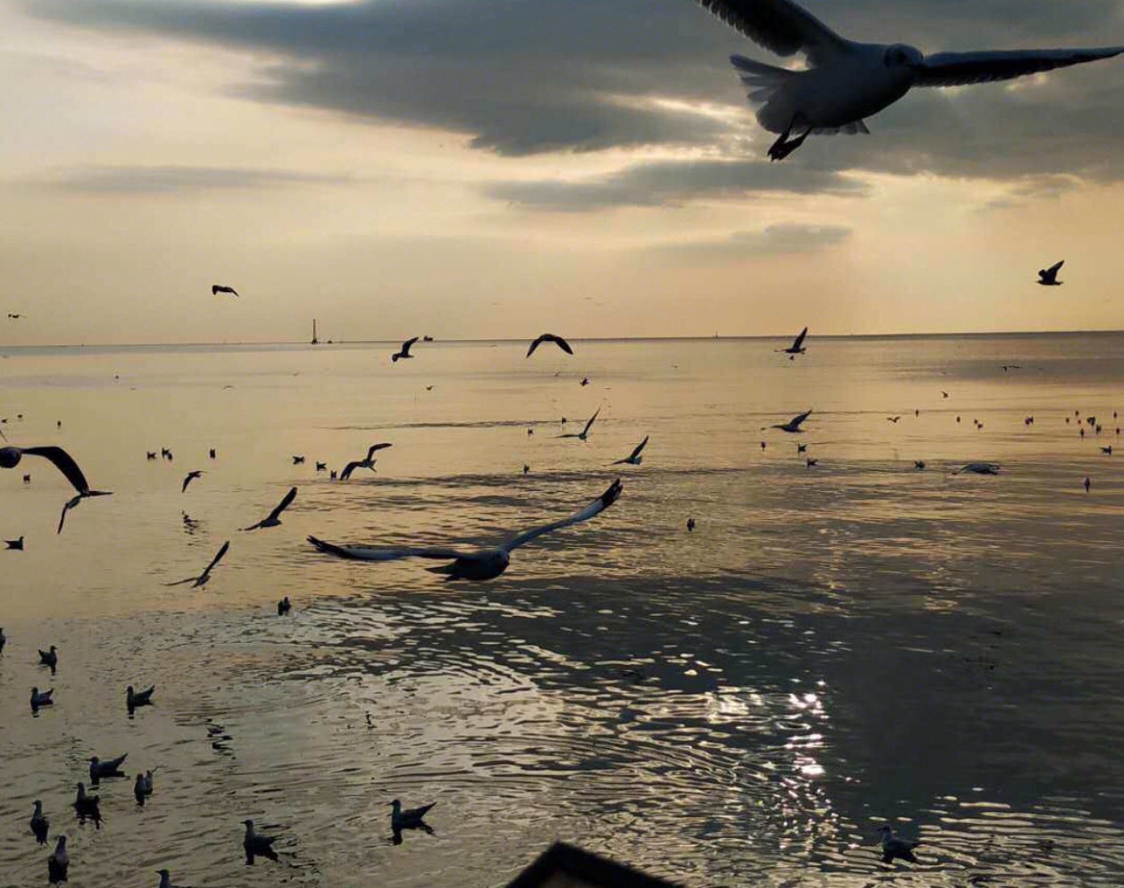 最好的时光遇见你全集,最好的时光泰剧版