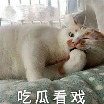 吃瓜群众表情包动态图片,吃瓜群众表情包高清画质