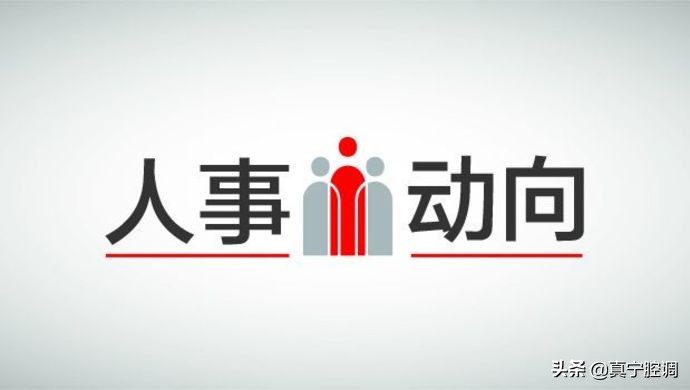 事业单位机构改革现状,行政人事管理现状及措施