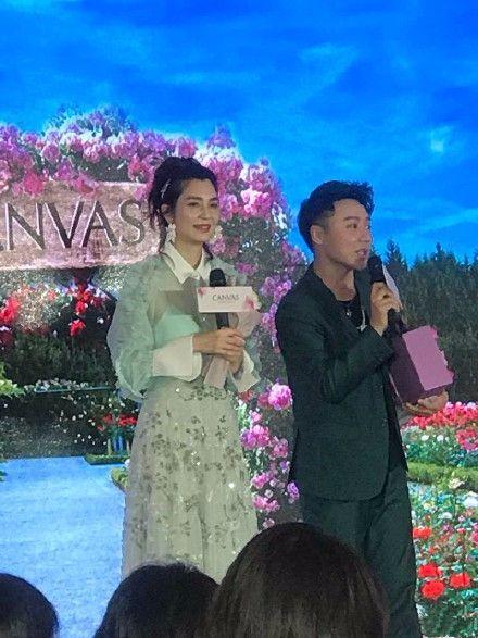 洪欣朱茵陈法蓉现状,洪欣和陈法蓉长得好像