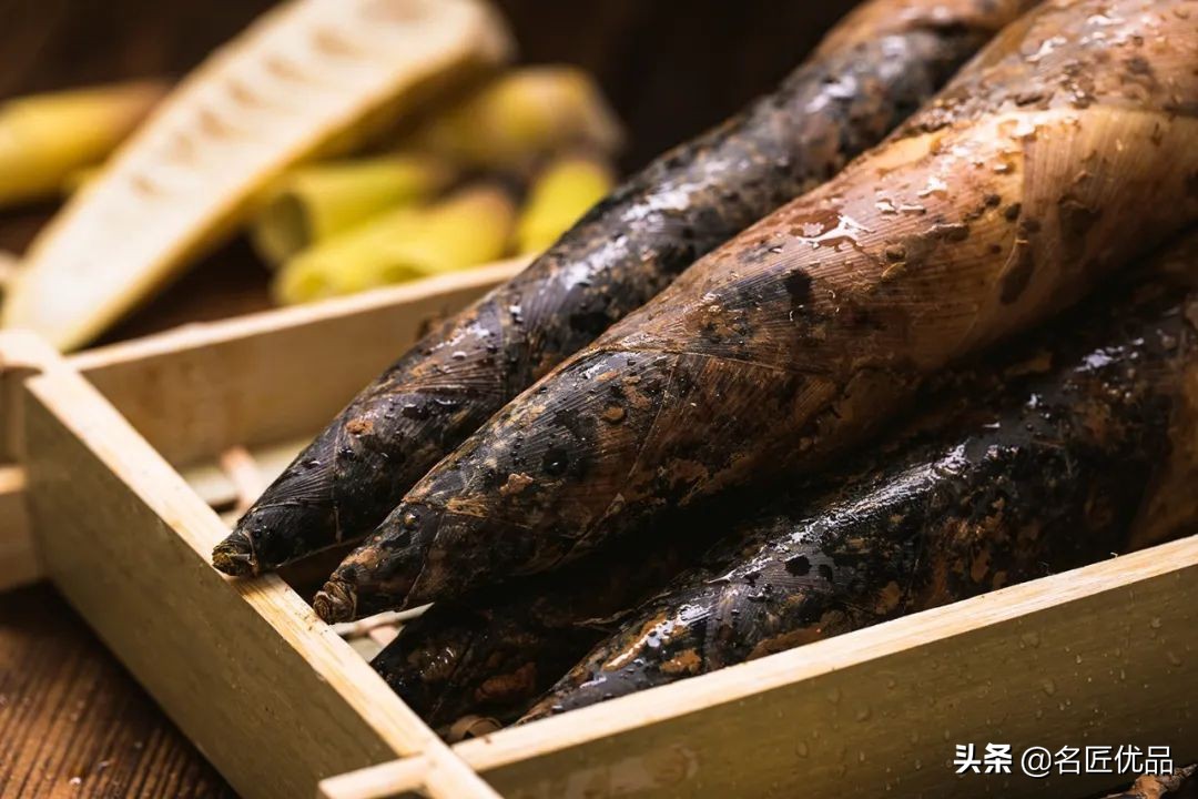 人吃的笋和大熊猫吃的笋一样吗,春笋是大熊猫吃的吗为什么