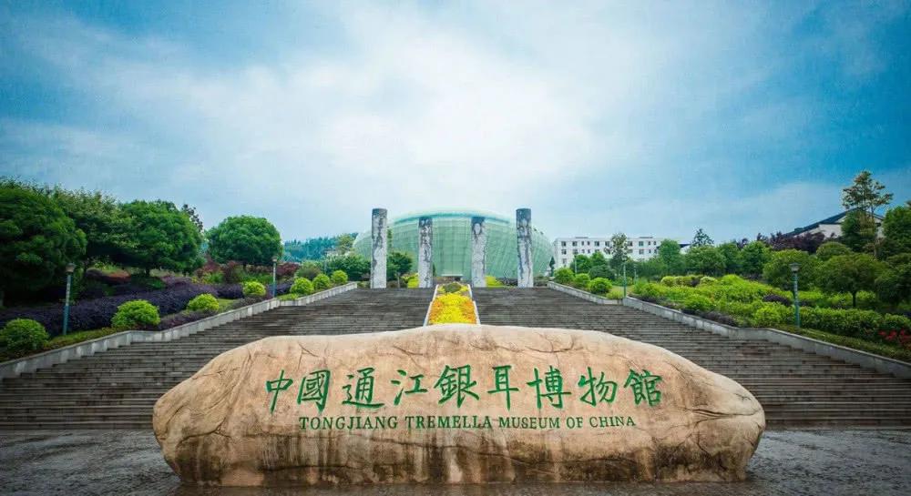 四川避暑康养最佳地是哪里,四川冷门避暑胜地亲子游2-3天