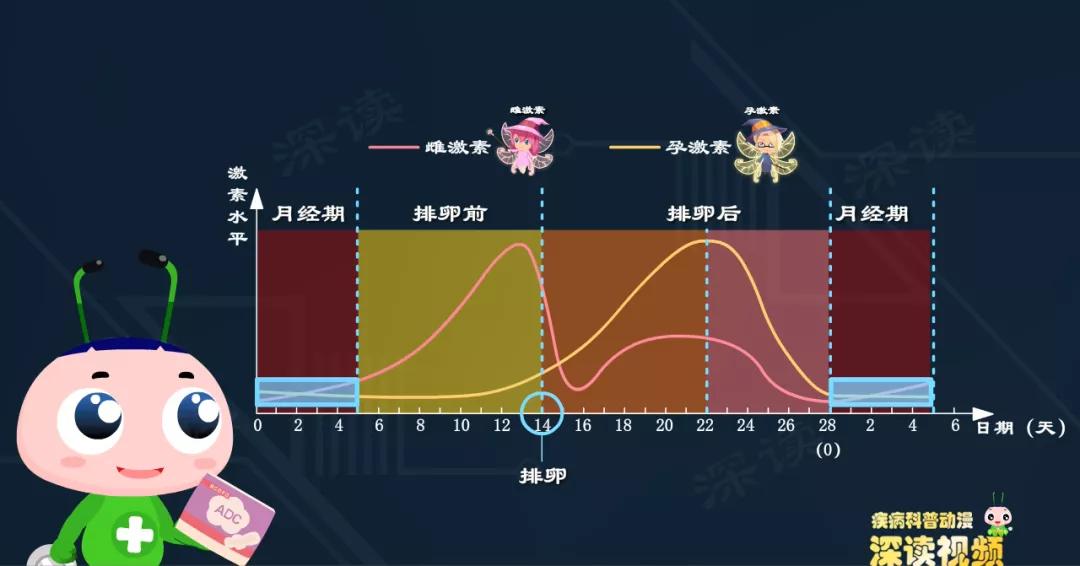 短效避孕药引起的出血怎么办,长效避孕药引起的出血量多吗