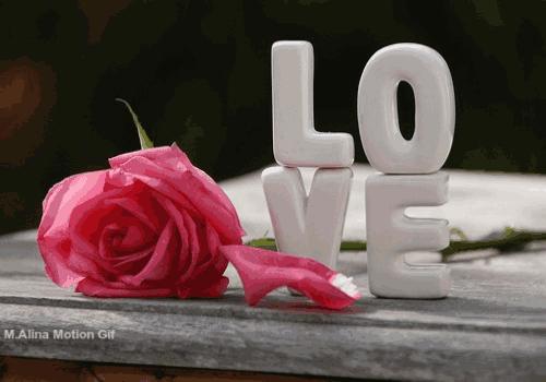 生活中的女人要自强飒爽,生活中的女人需要的是智慧