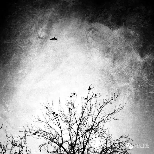 给照片修图的最好的软件,好用修图