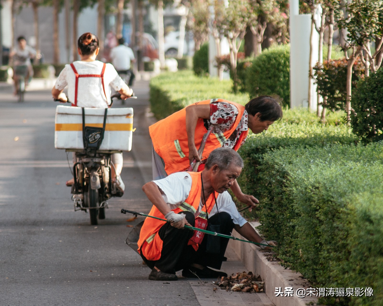 怎样加入泰安市区摄影家协会,如何快速加入中国摄影家协会