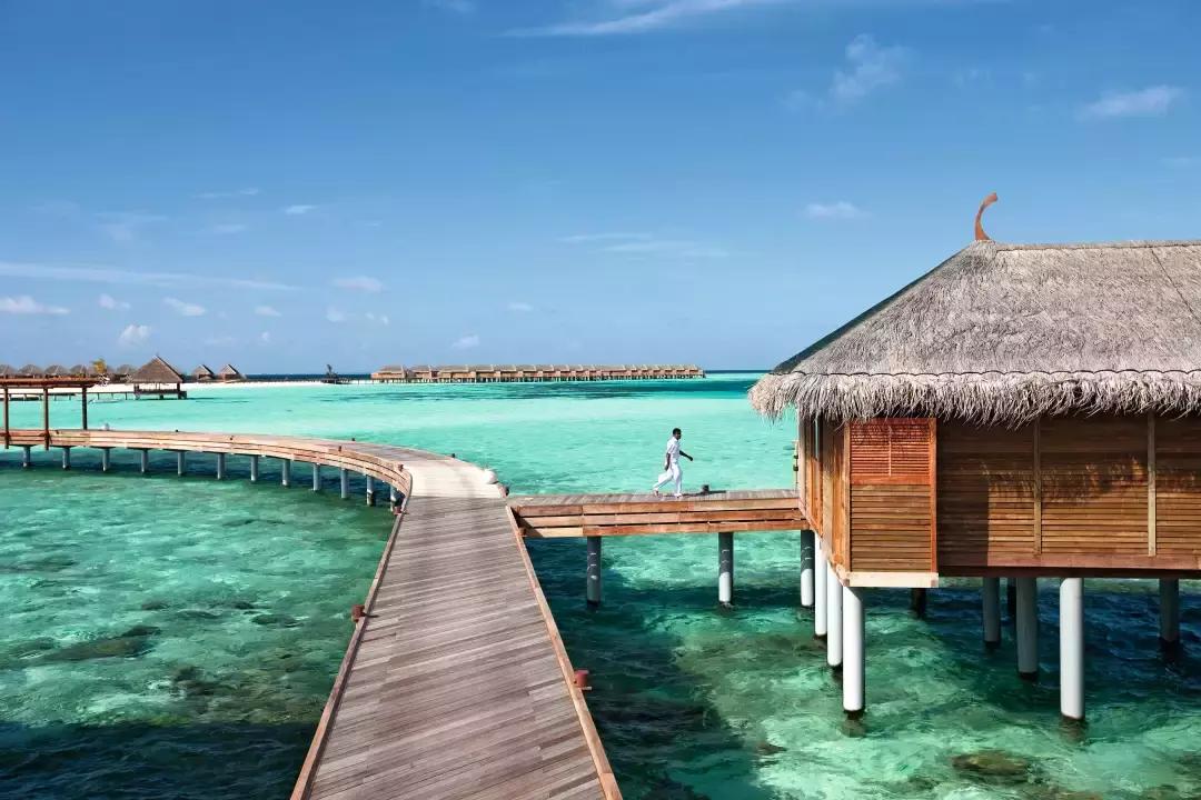 理想生活海景咖啡馆,理想生活