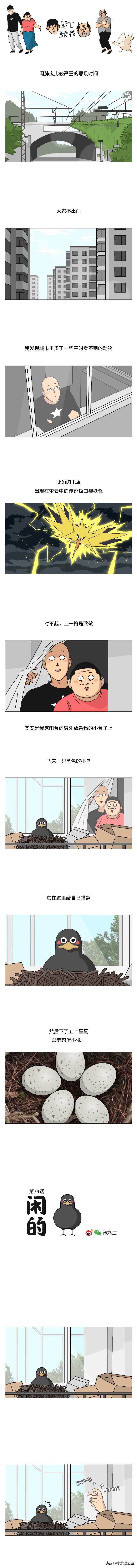 被一只鸟记仇是什么体验？（漫画）