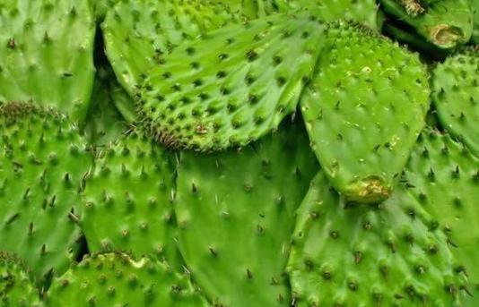 你绝对没有体验过的项目,你绝对没见过的神奇操作