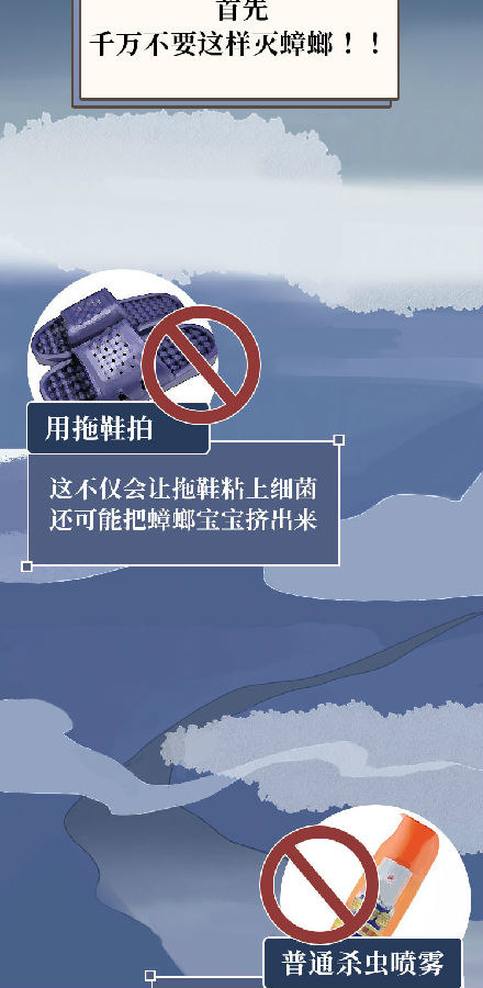 蟑螂一次能生多少幼崽,蟑螂一生只产一次卵吗