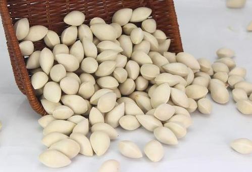 中药银杏仁的功效与作用,中药银杏叶功效与作用