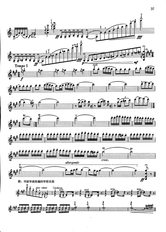 十大公认顶级小提琴曲,世界最著名的24首小提琴协奏曲