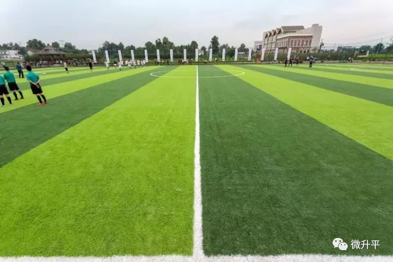 建在沙漠里的足球场,天然草坪足球场在哪里