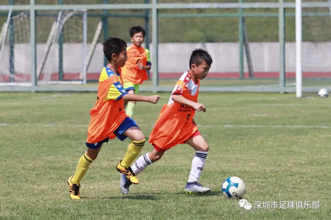 深足U11梯队选拔启动，全面考察客观评定透明公开