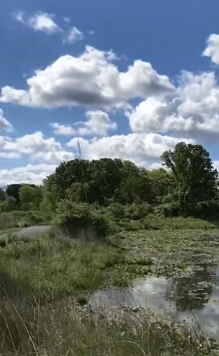 小学生健康用眼方式纠正浅度近视,怎么改善孩子眼睛中度近视