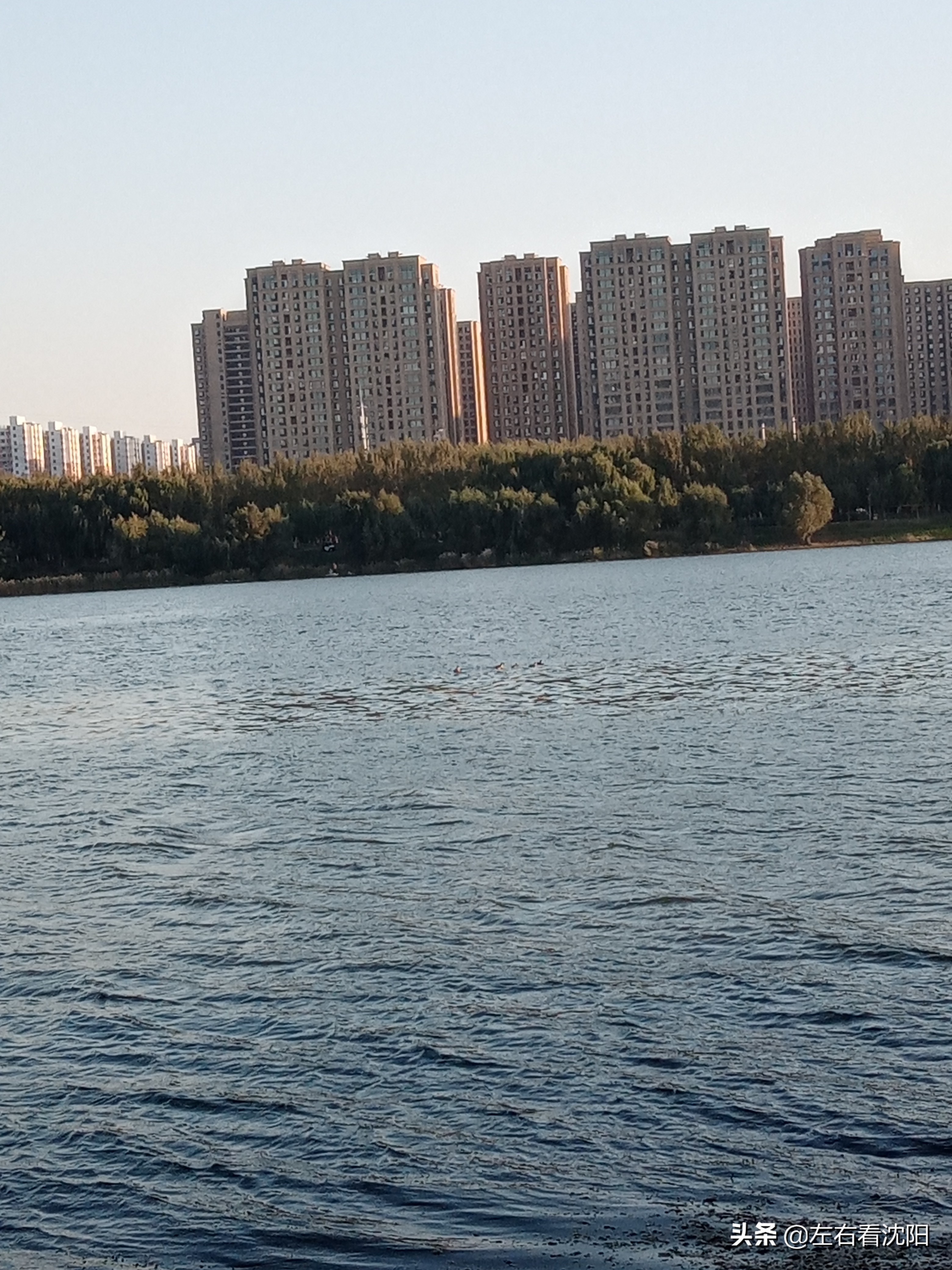 沈阳五里河公园攻略,沈阳五里河公园现在开吗