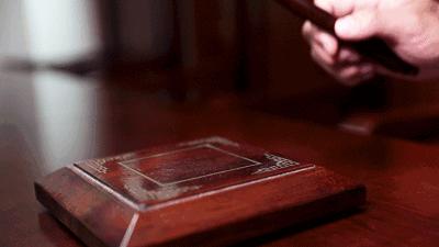 濂囪懇灏忓伔琚伔,濂囪懇灏忓伔琚洍璐㈢墿