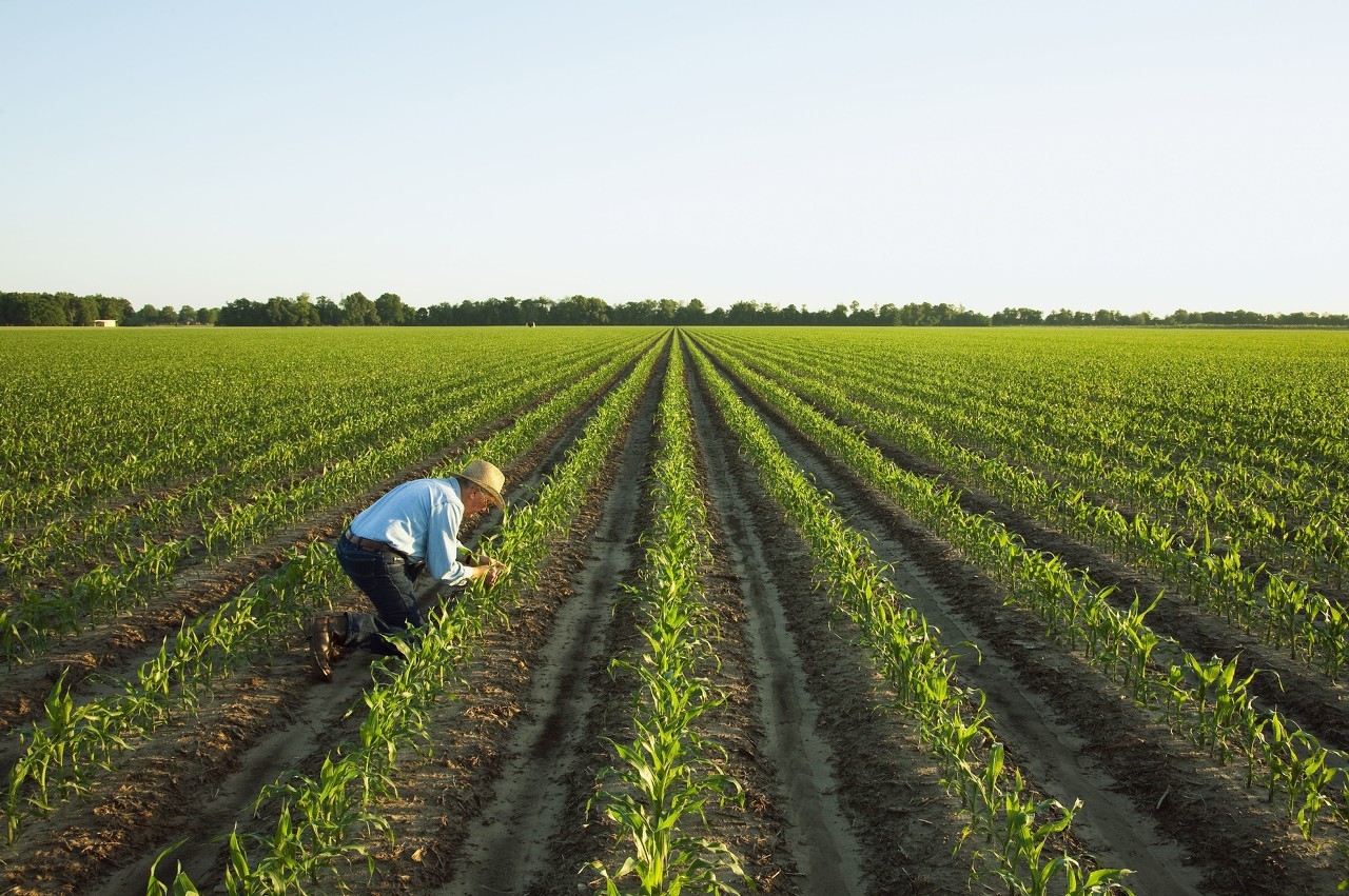 三支一扶服务期间归谁管,三支一扶服务是啥