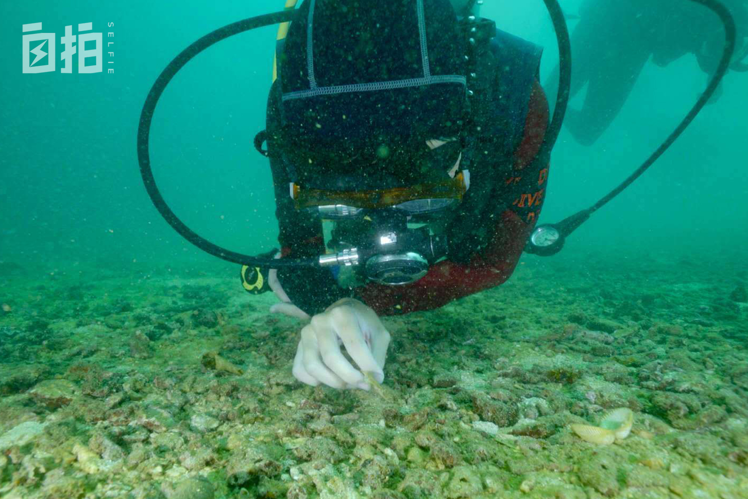 我,坐轮椅的大学生,上天能跳伞、下海能潜水,像普通人一样生活