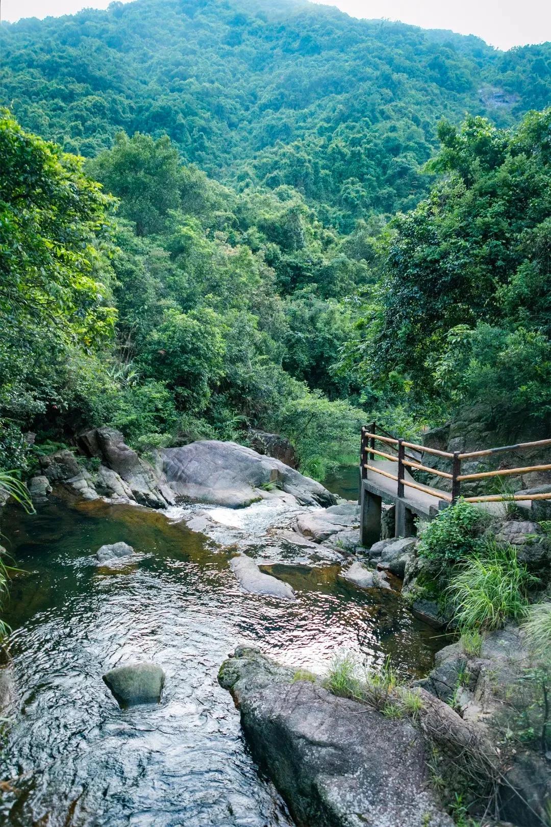 深圳值得打卡的建筑物,深圳最值得打卡的山
