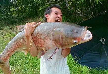 小线组和大线组的区别,小线组好上鱼