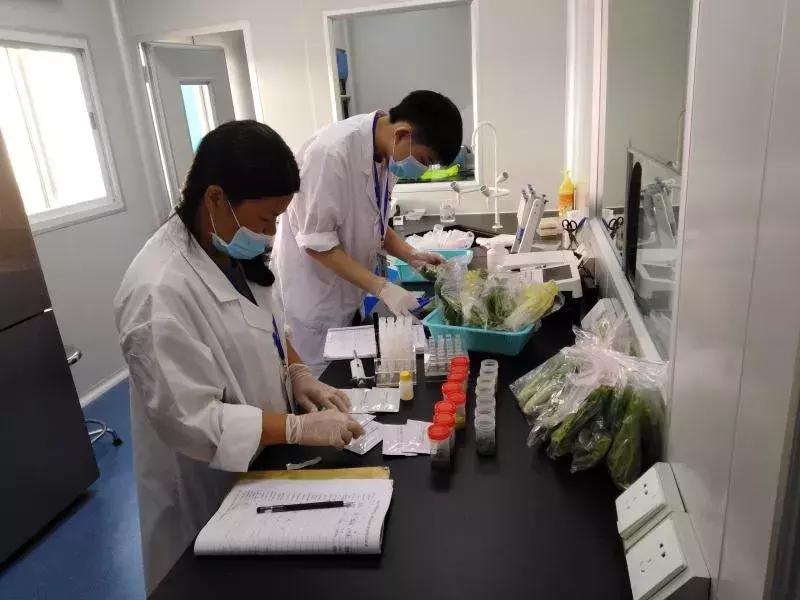 农药残留快速检测国家标准gb2003,农药残留检验检测部门