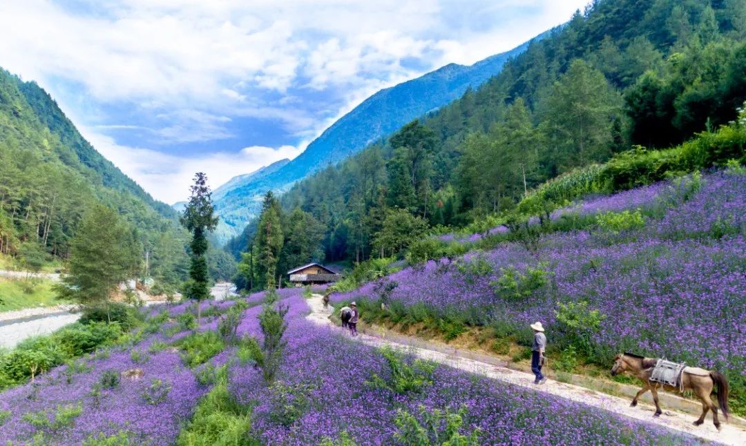 达州一座有温度的城市,达州一个有温度的城市