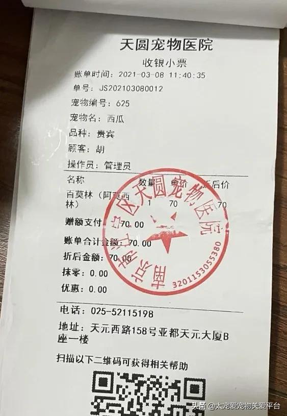 十二指肠溃疡丨太宠爱理赔案例南京天圆宠物医院