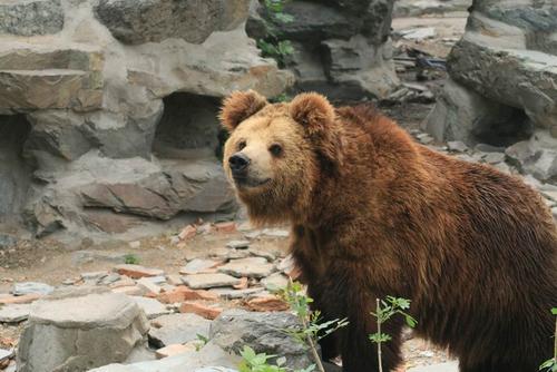 沈阳周边温泉两日自驾,沈阳周边30个最佳自驾好去处
