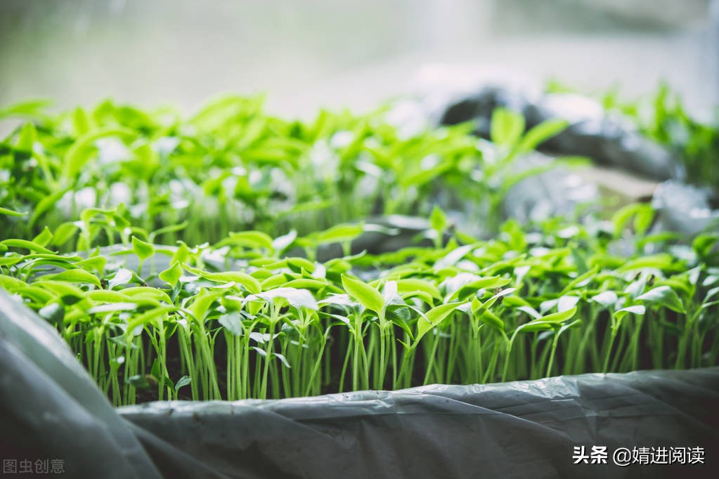 如何走出尴尬的困境,如何走出尴尬瞬间