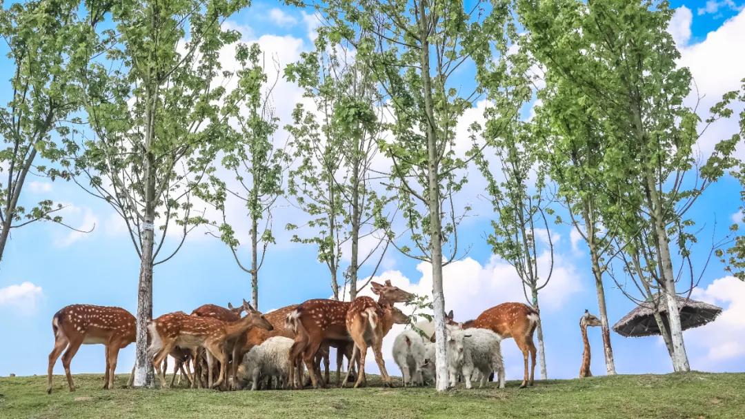 适合所有人旅行的5个宝藏目的地,游玩新体验每周必去的宝藏好地