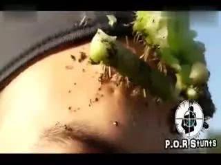 看着都痛的搞笑名场面,看着都痛的搞笑图片