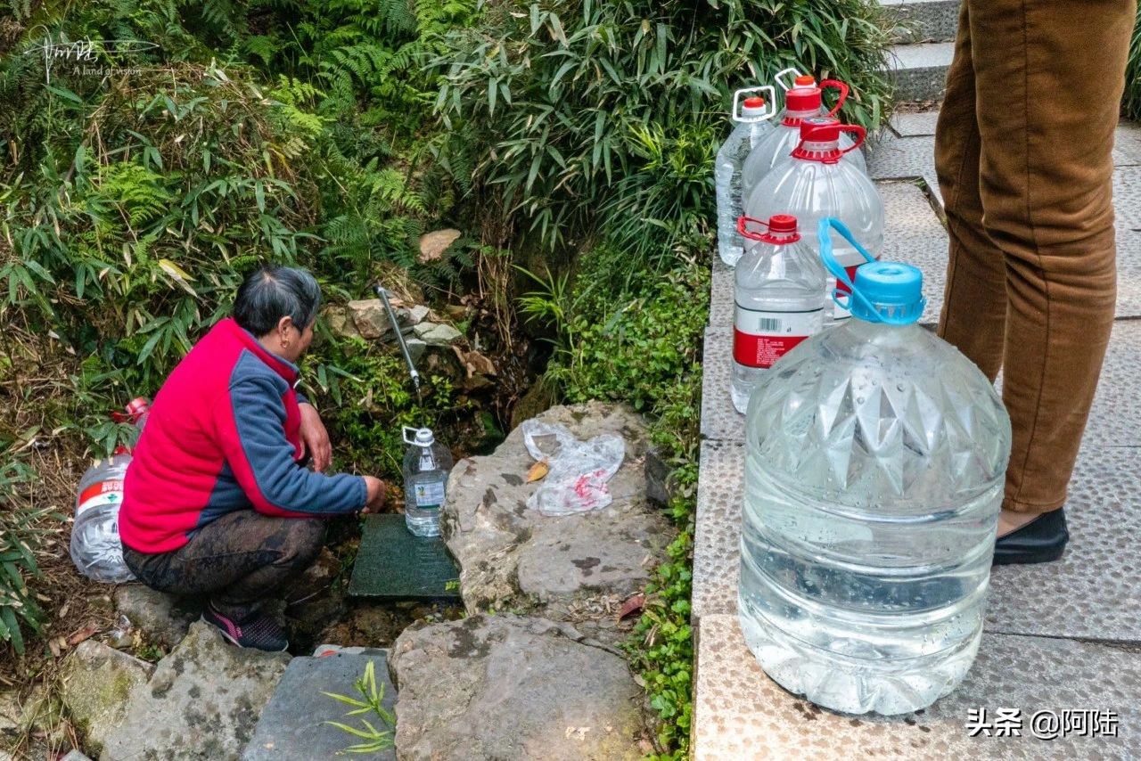 杭州虎跑泉水,杭州虎跑泉旅游攻略