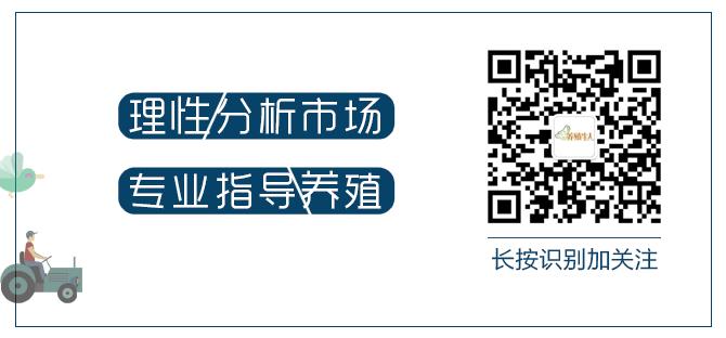 蠕虫病怎么治疗,蠕虫感染怎么解决