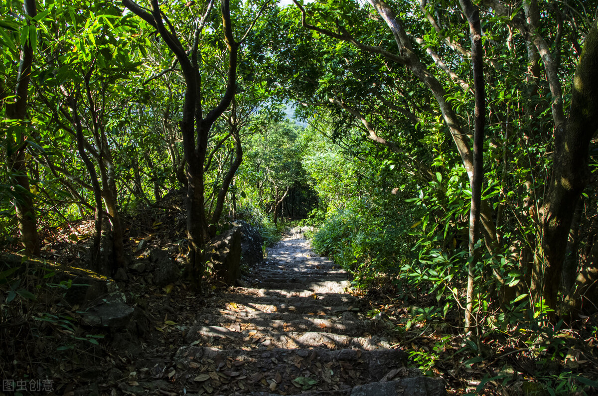 深圳大鹏湾旅游景点要门票吗,深圳免门票景点推荐