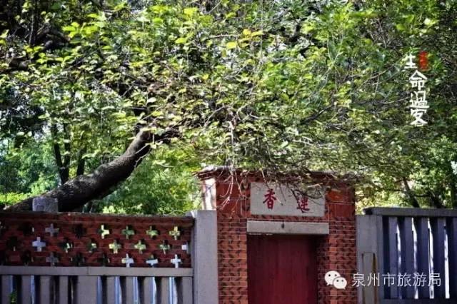 泉州世界之最,泉州被誉为世界第一大港