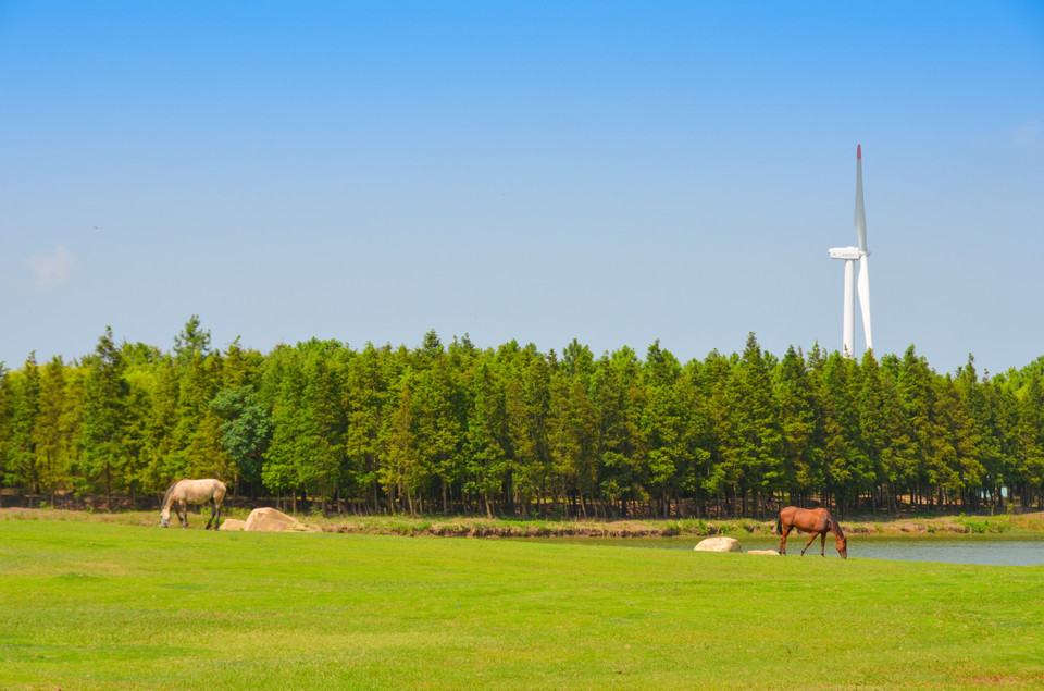 上海有哪些公园是免费的门票,上海哪个公园不收门票景色也不错