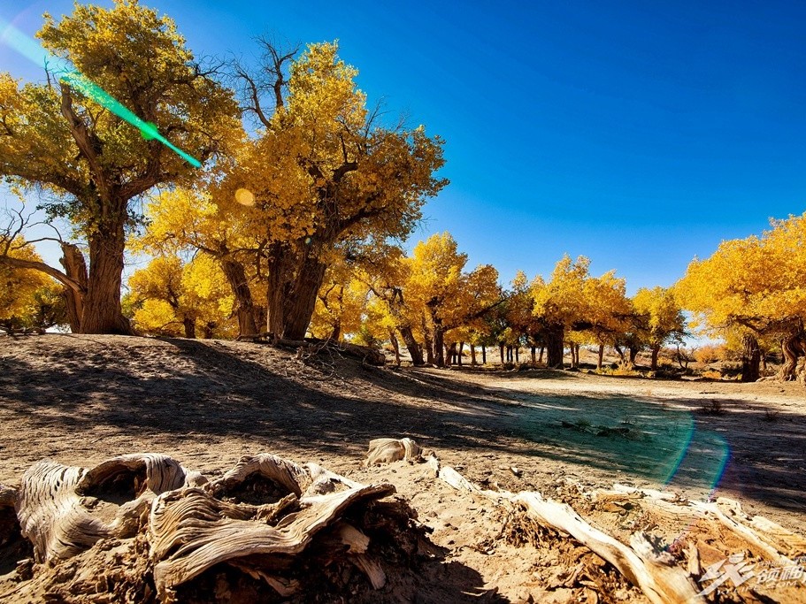 去了一趟新疆,去了一趟新疆的感受