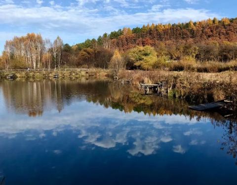 黑龙江伊春马莲林场,黑龙江伊春在中国地图哪个位置